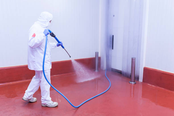 Best Dumpster Area Cleaning  in Mililani Town, HI